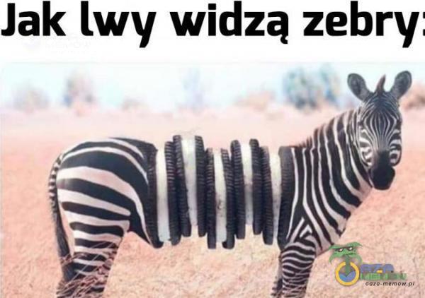 Jak [wy widzą zebry. AF