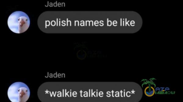 Jaden polish names be like Jaden *walkie talkie static*