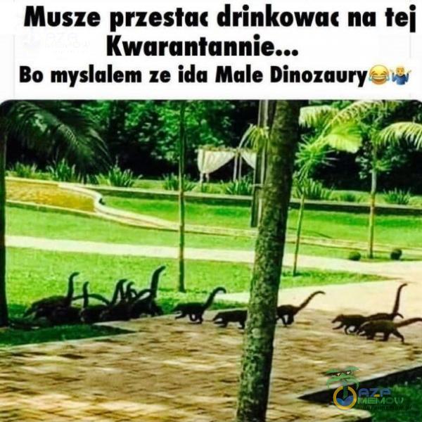 Musze przestac drinkowac na tej Bo mysłalem ze ida Male Dinozaurys y