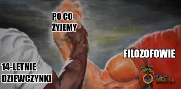 Codziennie tylko śmieszne memy, pasty, gify, suchary i filmy - przeglądaj, komentuj, dodawaj własne!