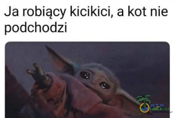 Codziennie tylko śmieszne memy, pasty, gify, suchary i filmy - przeglądaj, komentuj, dodawaj własne!