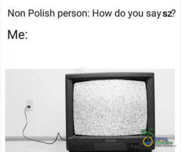 Non Polish person: H0w do you say si? Me: