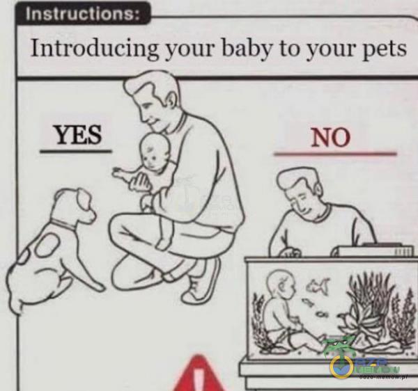 |KEU MILE Introdhicing your baby ta yonr pets