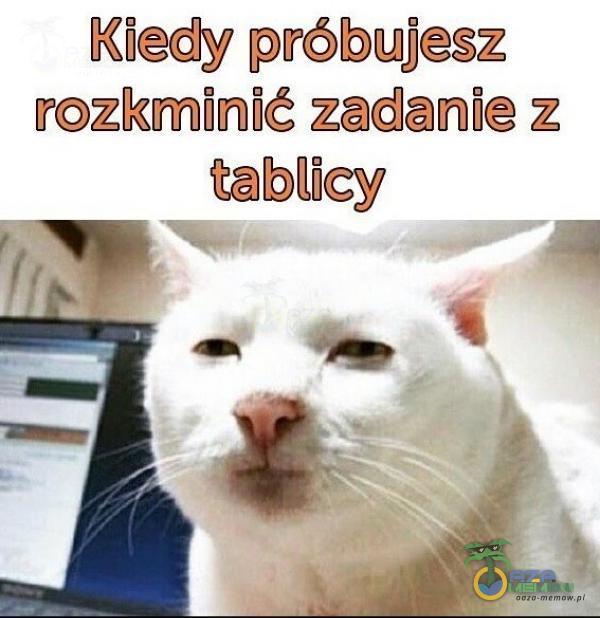 Kedy próbujesz z tabldcy