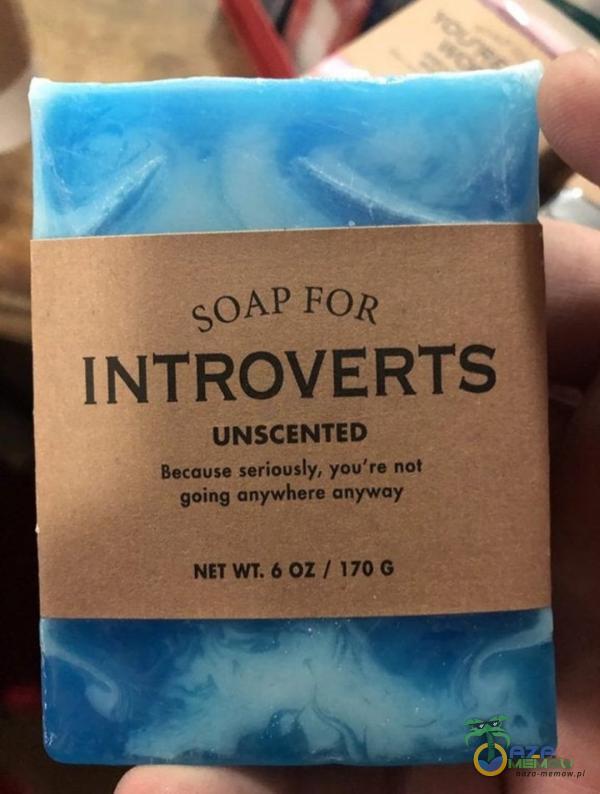 FOR INTROVERTS UNSCENTED Because seriously, you re not going anywhere anyway NET WT. 6 OZ/ 170 G