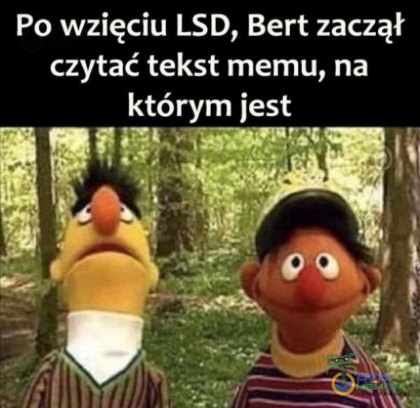 Po wzięciu LSD, Bert zaczął czytać tekst memu, na r a u WCi |- LAR 4 | NĘ 1 / - EBD d I n- t: s i :