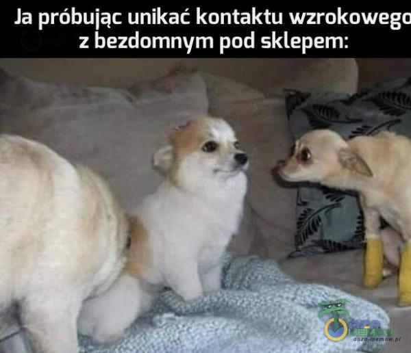 Ja próbując unikać kontaktu wzrokowego z bezdomnym pod sklepem: