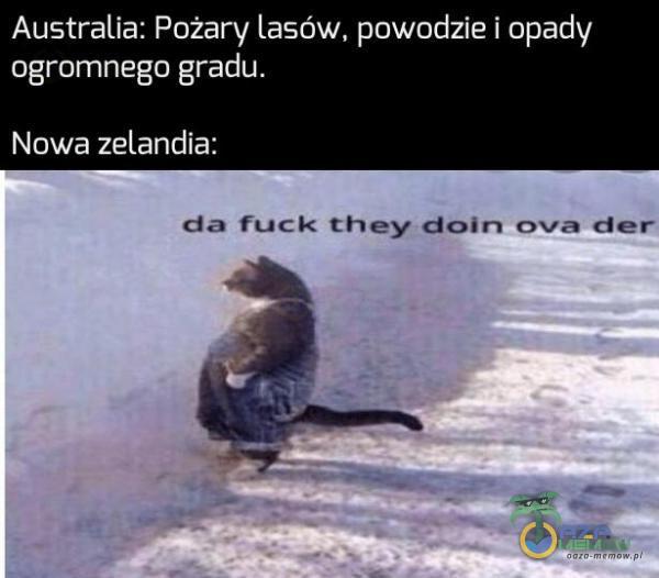 Aus-trona: Pożary Lasów. powodzie ! opady ogromnego gradu. Nowa zelandia: cin fuck n_h-ay doln mua der