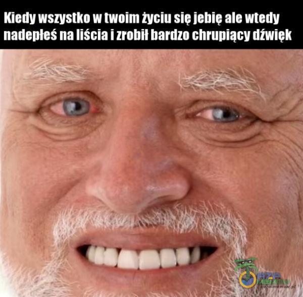 Kiedy wszystko w twoim życiu sie j***e ale wtedy nadepłeS na liścia i zrobił bardzo chrupiący dźwiek