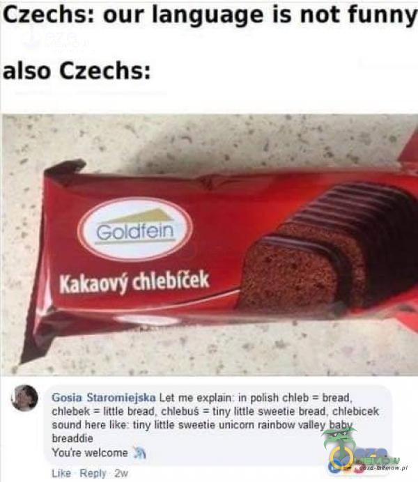 Czechs: our language is not funny ałso Czechs: