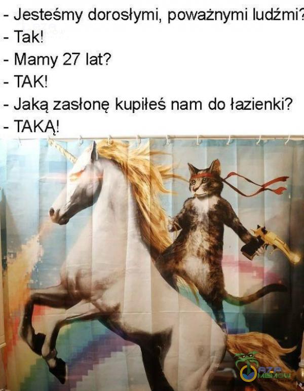 - Jesteśmy dorosłymi, poważnymi ludźmi: - Tak! - Mamy 27 lat? - TAK! - Jaką zasłonę kupiłeś nam do łazienki? - TAKĄ! „ . ht.: :— FISECH