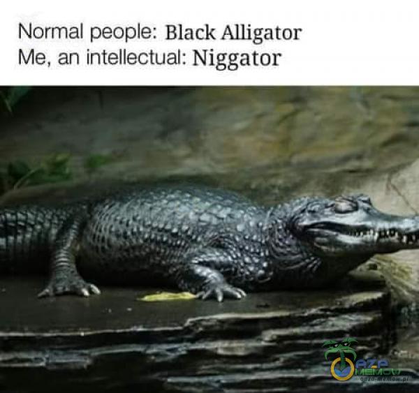 Normal peoe: Black Alligator Me, an intellectual: Ni***tor