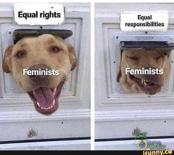 Ëqual rights Feminists Equal responsibilfties mini