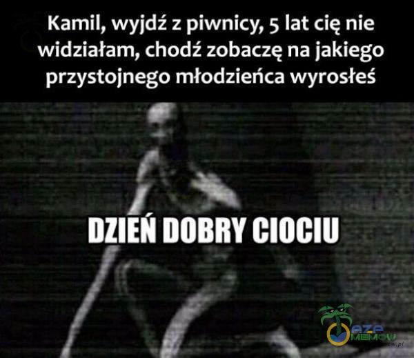 Kamil, wyjdź z piwnicy, 5 lat cię nie widziałam, chodź zobaczę na jakiego przystojnego młodzieńca wyrosłeś DZIEŃ DOBRY CIOCIU