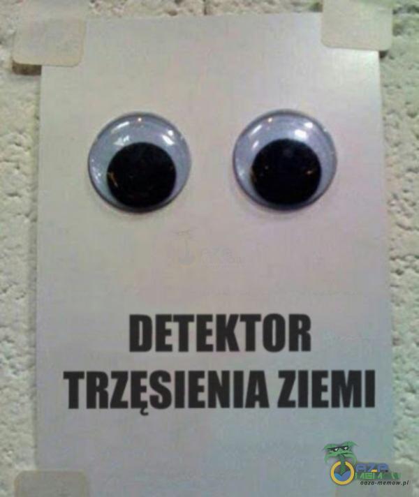 DETEKTOR TRZĘSIENIA ZIEMI