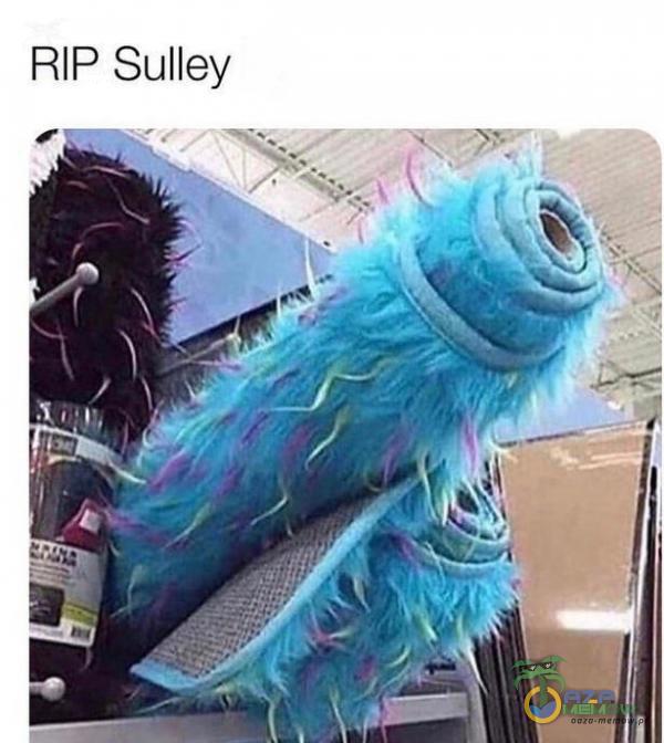 RIP Sulley
