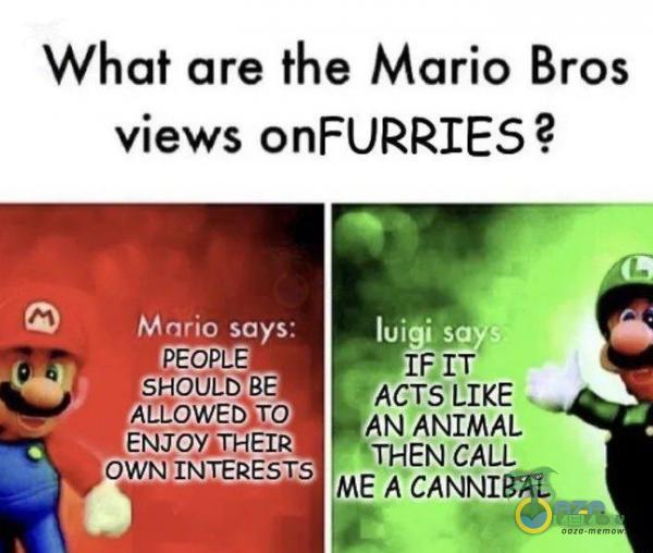 What are the Mario Bros views onFURRIES ? Mario says: PEOPLE SHOOLD BE ALOWED TO ĄENJOYLȚHEIR TACTS LIKE AN ANIMAL THEN CALL OWN INTERESTS ME A CANNIBAL