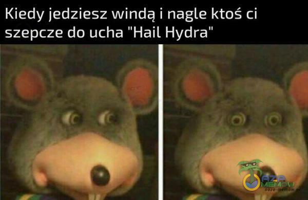 Kiedy jedziesz windą i nagle ktoś ci szepcze do ucha Hail Hydra