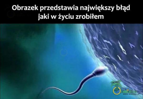 Obrazek przedstawia największy błąd iaki w życiu zrobiłem