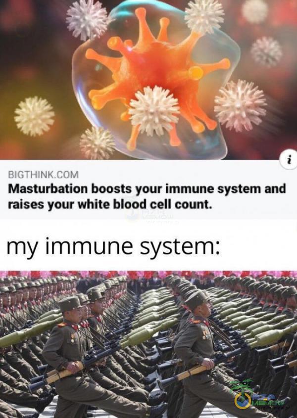EFTTHUNK_TA Masturbation boosts your immune system and ralses your white blood cell count. my immune system: