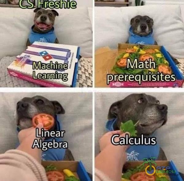 Machinë Learning Lihearr Algebra Calculus