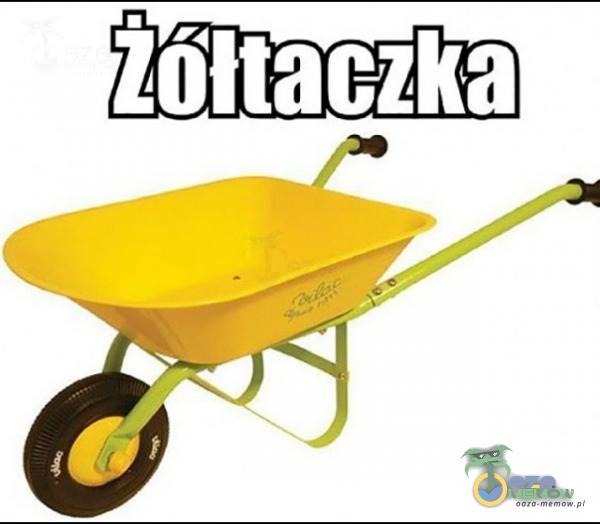 . , lnltaezka :