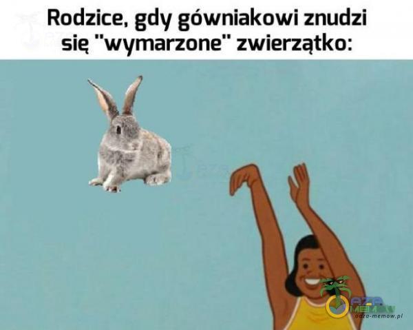 Codziennie tylko śmieszne memy, pasty, gify, suchary i filmy - przeglądaj, komentuj, dodawaj własne!