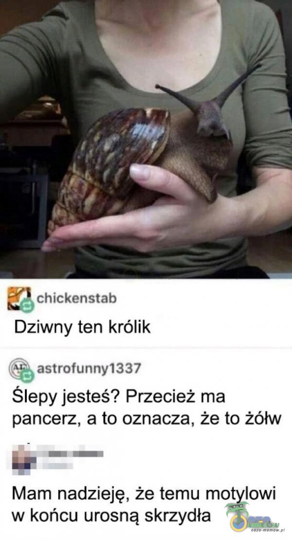 chickenstab Dziwny ten królik astrofunny1337 Ślepy jesteś? Przecież ma pancerz, a to oznacza, że to żółw Mam nadzieję, że temu motylowi w końcu urosną skrzydła