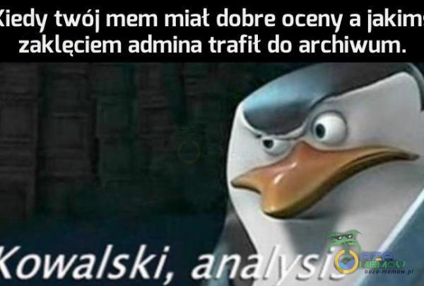 Codziennie tylko śmieszne memy, pasty, gify, suchary i filmy - przeglądaj, komentuj, dodawaj własne!