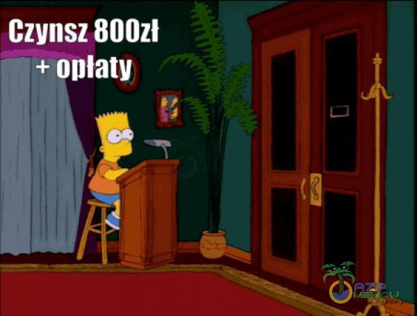 Czynsz 800zł + onlatv