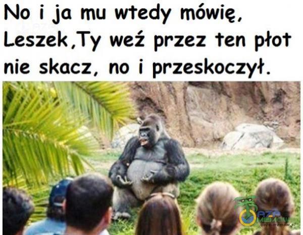 Codziennie tylko śmieszne memy, pasty, gify, suchary i filmy - przeglądaj, komentuj, dodawaj własne!