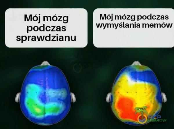 Mój mózg podczas wymyślania memów Mój mózg podczas sprawdzianu