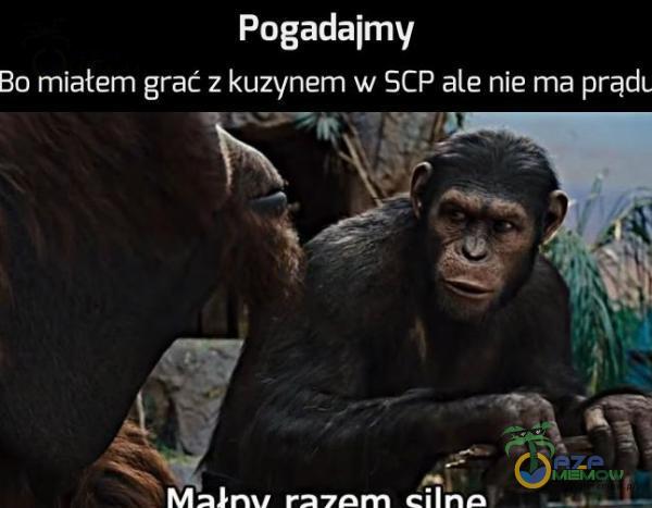 Pogadajmy Bo miałem grać z kuzynem w SCP ale nie ma prądc