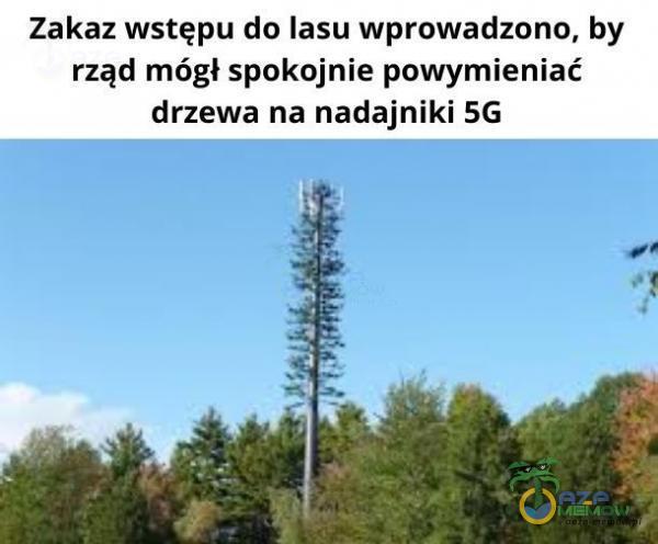 Zakaz wstępu do lasu wprowadzono, by rząd mógł spokojnie powymieniać. drzewa na nadajniki 5G dos 4 „lk AK ale - gł i