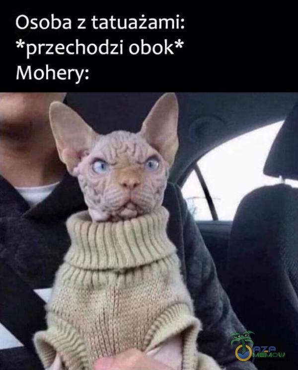 Osoba z tatuażami: *przechodzi obok* Mohery: