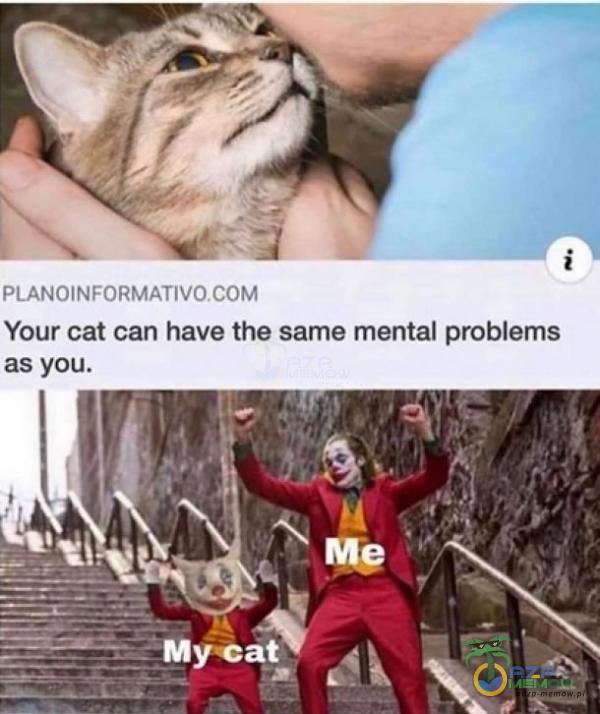 PńtiniHFOMATAG MOM Your cat can have ne same mental problems 5 yOL.