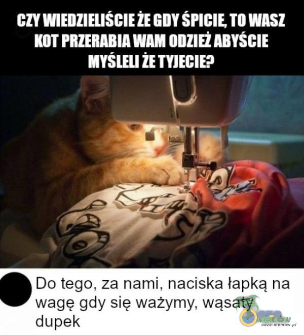 CZY WIEDZIELIŚCIE ŻE GDY ŚPICIE TO WASZ OB a IC4 LSL I |ALOPAG HE Do tego, za nami, naciska lapką na wagę gdy się ważymy, wąsaty dupek