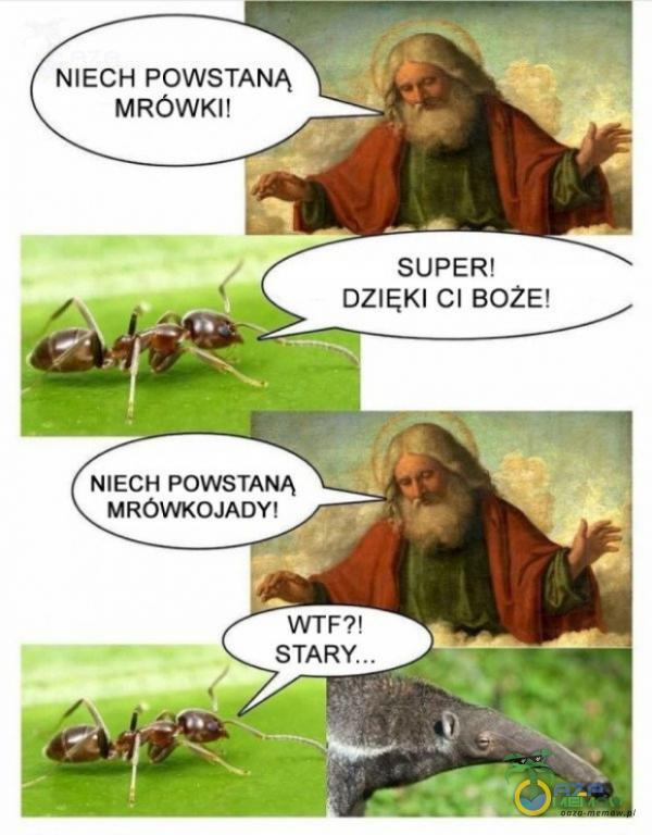 Codziennie tylko śmieszne memy, pasty, gify, suchary i filmy - przeglądaj, komentuj, dodawaj własne!