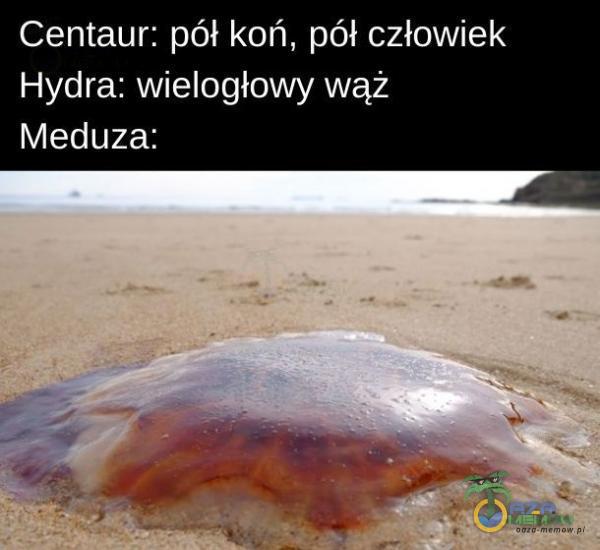 Centaur: pół koń, pół człowiek Hydra: wielogłowy wąż Meduza: