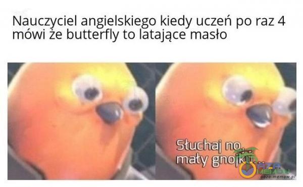 Nauczyciel angielskiego kiedy uczeń po raz 4 mówi że butterfly tó latające masła