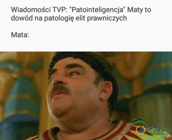 Wiadomości TVP: Patointeligencja” Maty to dowód na patologię elit prawniczych Mata: