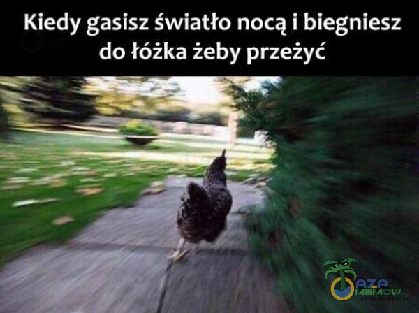 Codziennie tylko śmieszne memy, pasty, gify, suchary i filmy - przeglądaj, komentuj, dodawaj własne!