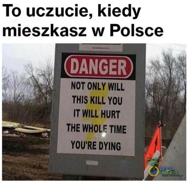 To uczucie, kiedy mieszkasz w Polsce NOT ONLY WILL THIS KILL YOU IT WILL HURT THE WHOLE TIME YOU RE DYING