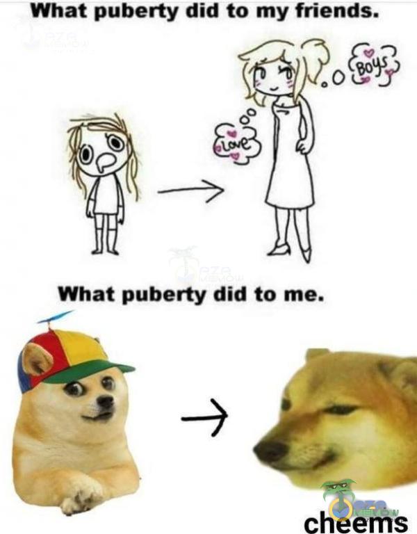 Whumbertydidbmyfdmds. What puberty «na to me. %. cheems