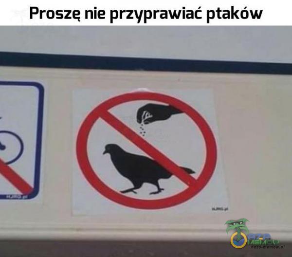 Proszę nie przyprawiać ptaków : R