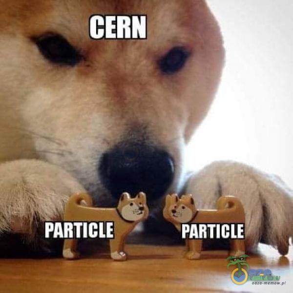 CERN PARTICIE PARTICIE