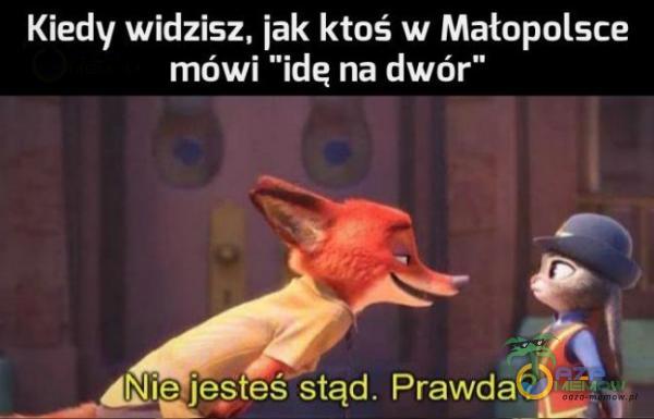 Kiedy widzisz, jak ktoś w Małtopolsce or ZN :[6- J 5Z oL