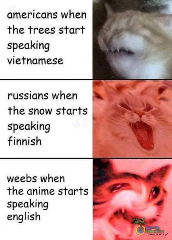 americans when the trees start speaking vietnamese russians when the snow starłs speaking finnish weebs when the anime starłs speaking english