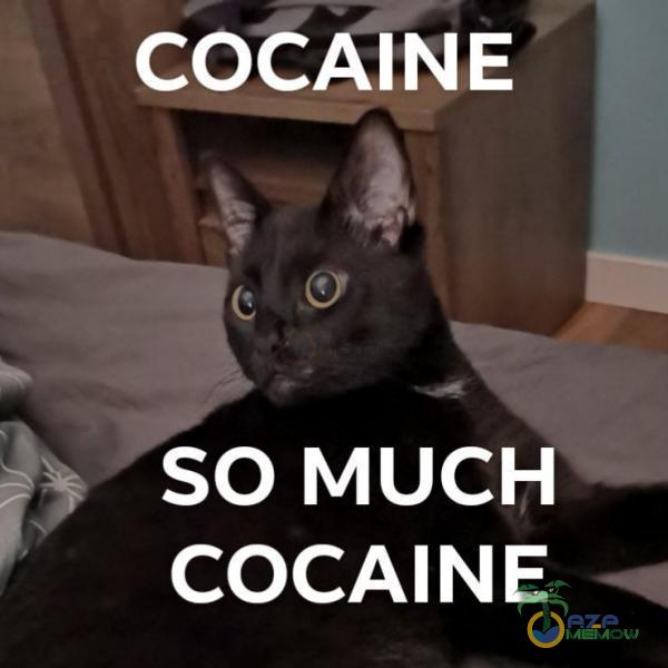 COCAINE SO MUCH COCAINE