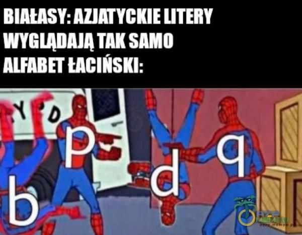 Codziennie tylko śmieszne memy, pasty, gify, suchary i filmy - przeglądaj, komentuj, dodawaj własne!